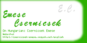 emese csernicsek business card